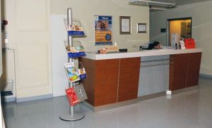 Freestanding Brochure Display - Image 2